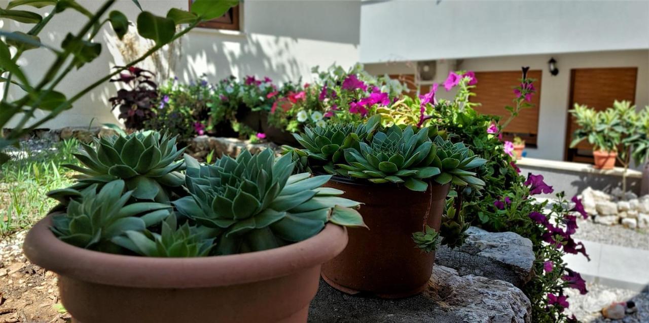 Apartments Kapetanovina モスタル エクステリア 写真